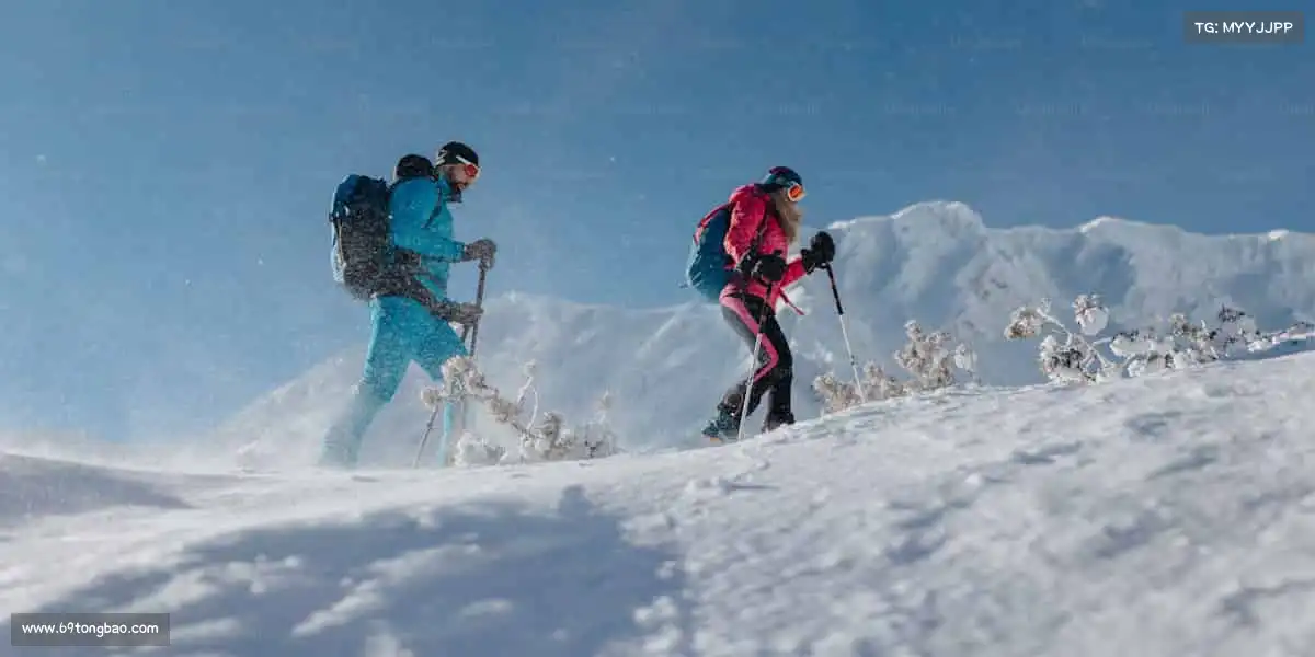 行业领先的理由